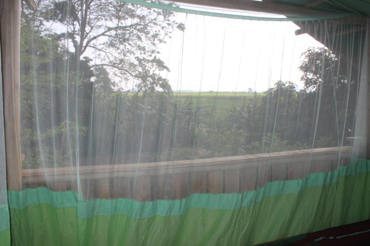 Buttala Forest Tree Top Holiday Resort מראה חיצוני תמונה