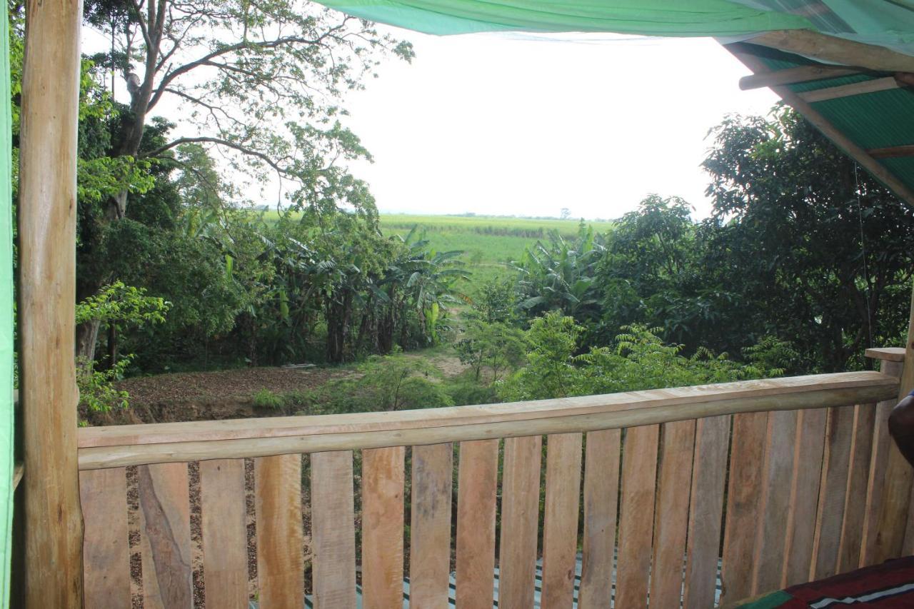 Buttala Forest Tree Top Holiday Resort מראה חיצוני תמונה