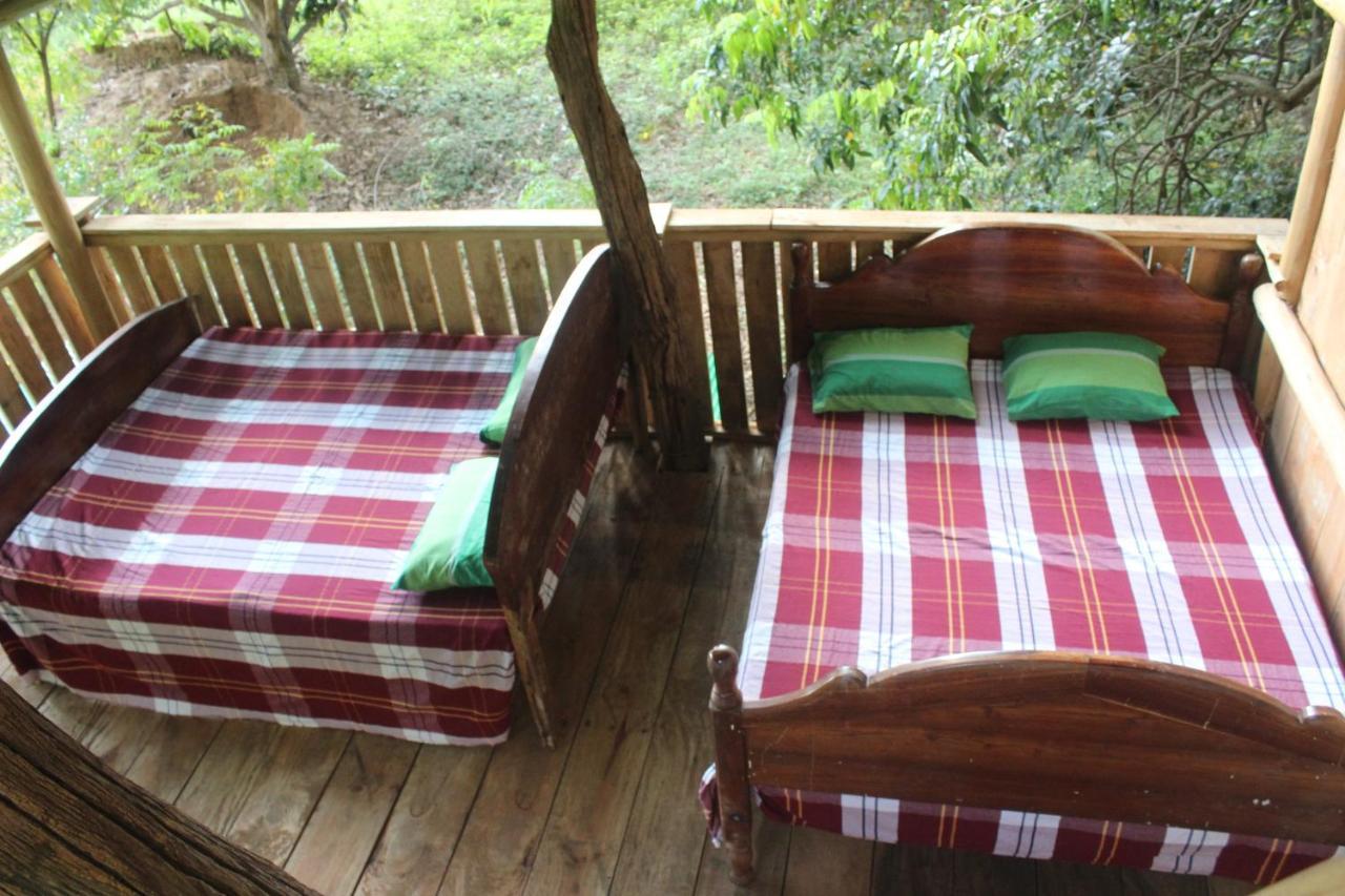 Buttala Forest Tree Top Holiday Resort מראה חיצוני תמונה