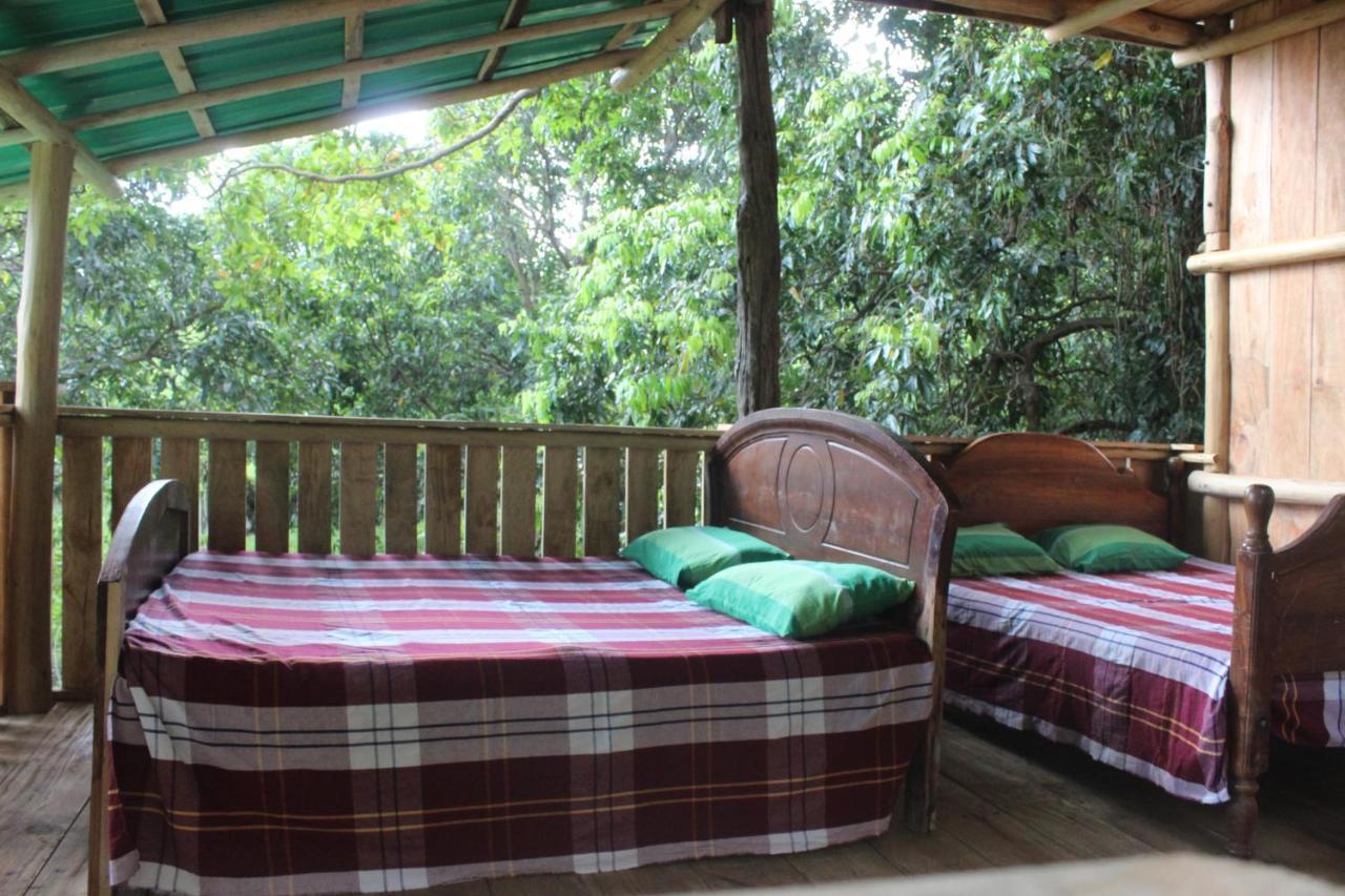 Buttala Forest Tree Top Holiday Resort מראה חיצוני תמונה