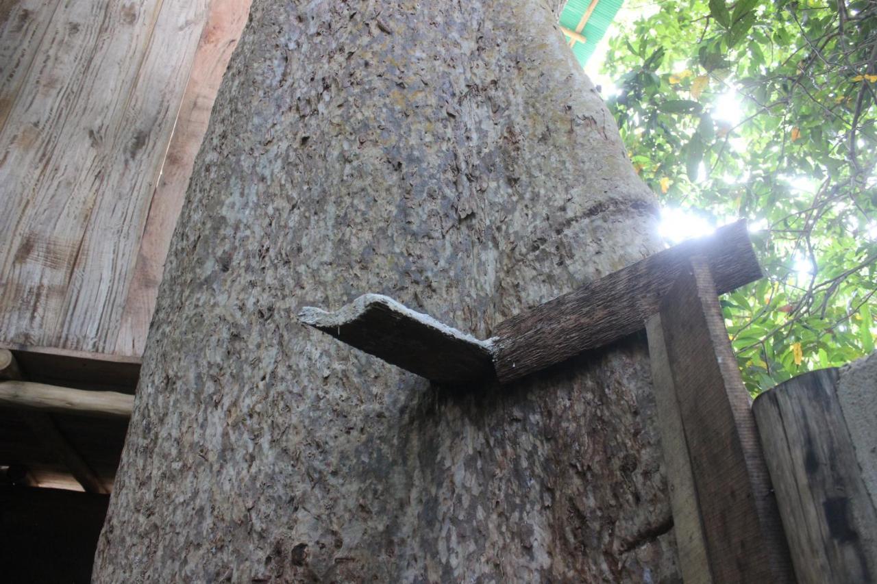 Buttala Forest Tree Top Holiday Resort מראה חיצוני תמונה