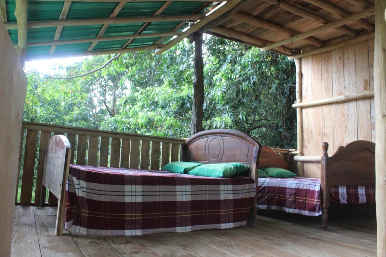 Buttala Forest Tree Top Holiday Resort מראה חיצוני תמונה