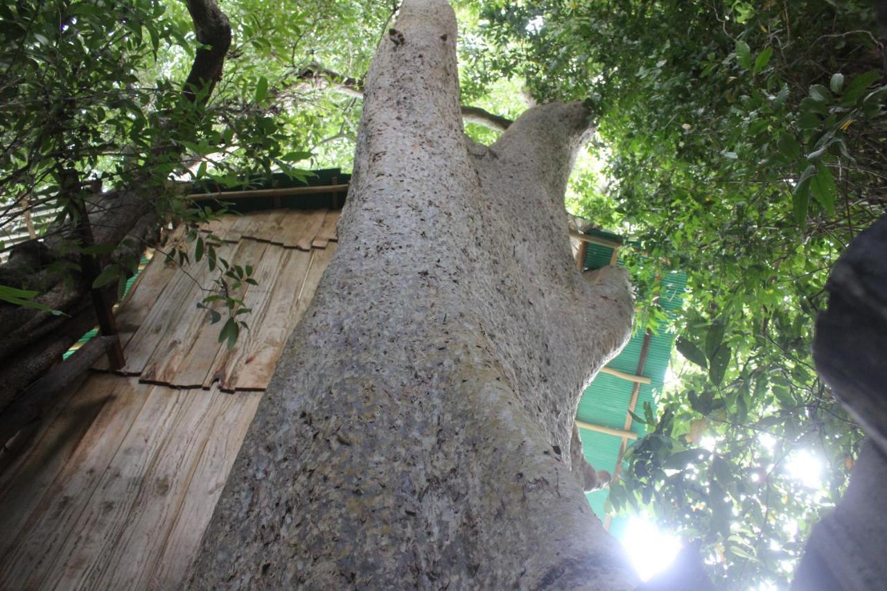 Buttala Forest Tree Top Holiday Resort מראה חיצוני תמונה