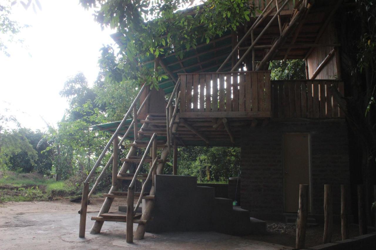 Buttala Forest Tree Top Holiday Resort מראה חיצוני תמונה