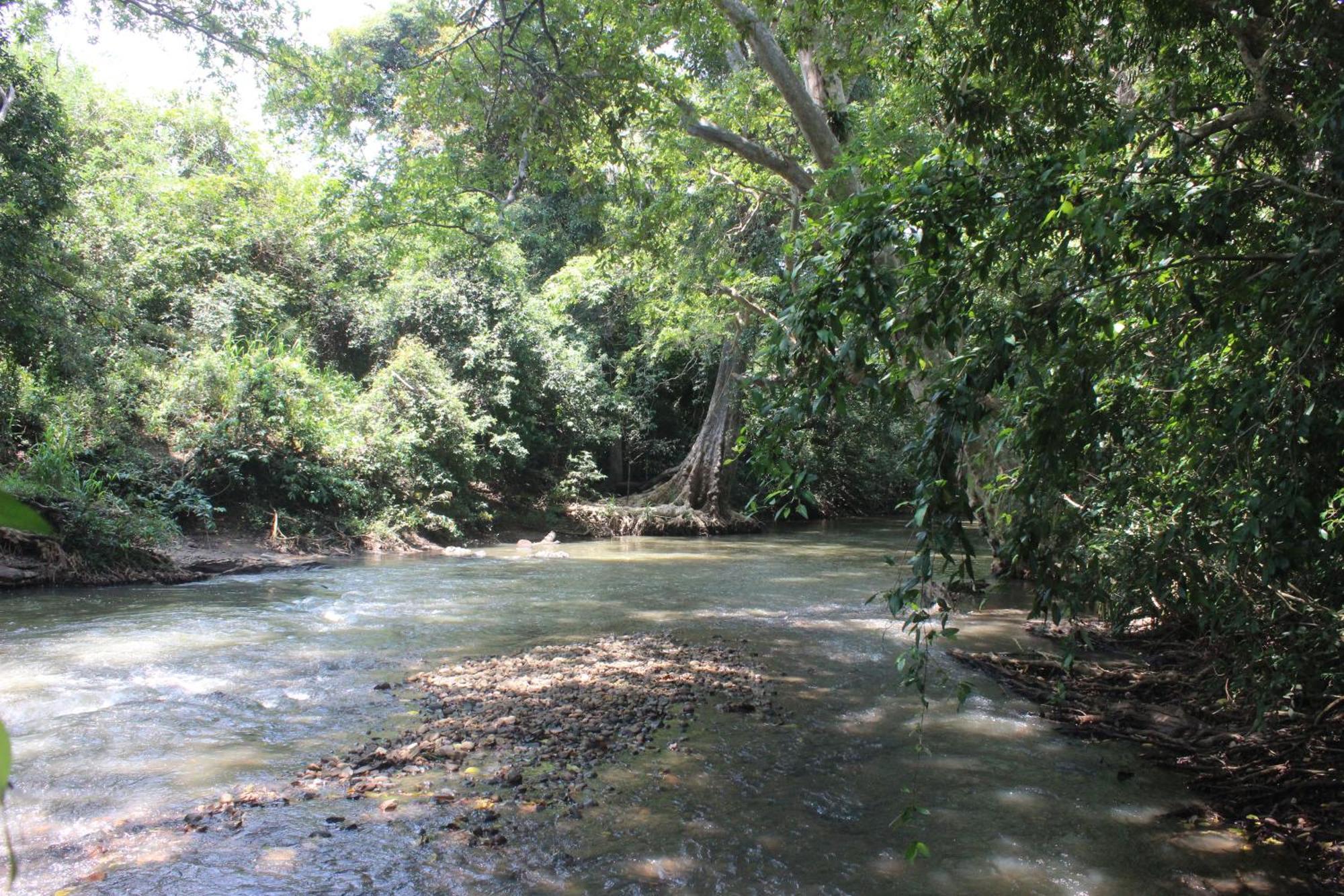 Buttala Forest Tree Top Holiday Resort מראה חיצוני תמונה